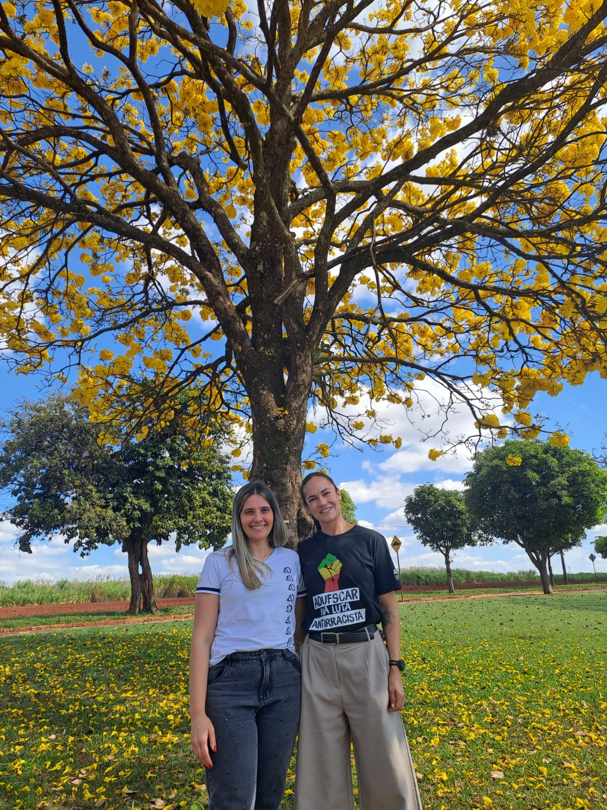 Araras | Encontro Docent